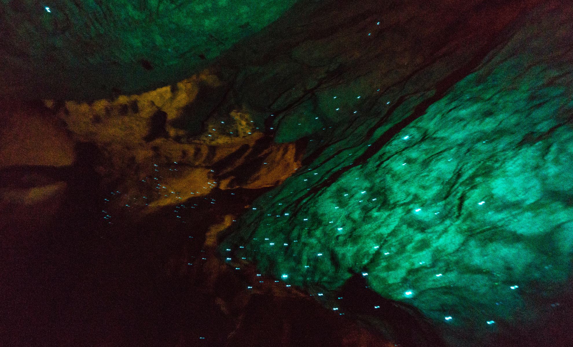 Featured image for Green Lights Detected Deep Beneath Japan’s Sea Caves