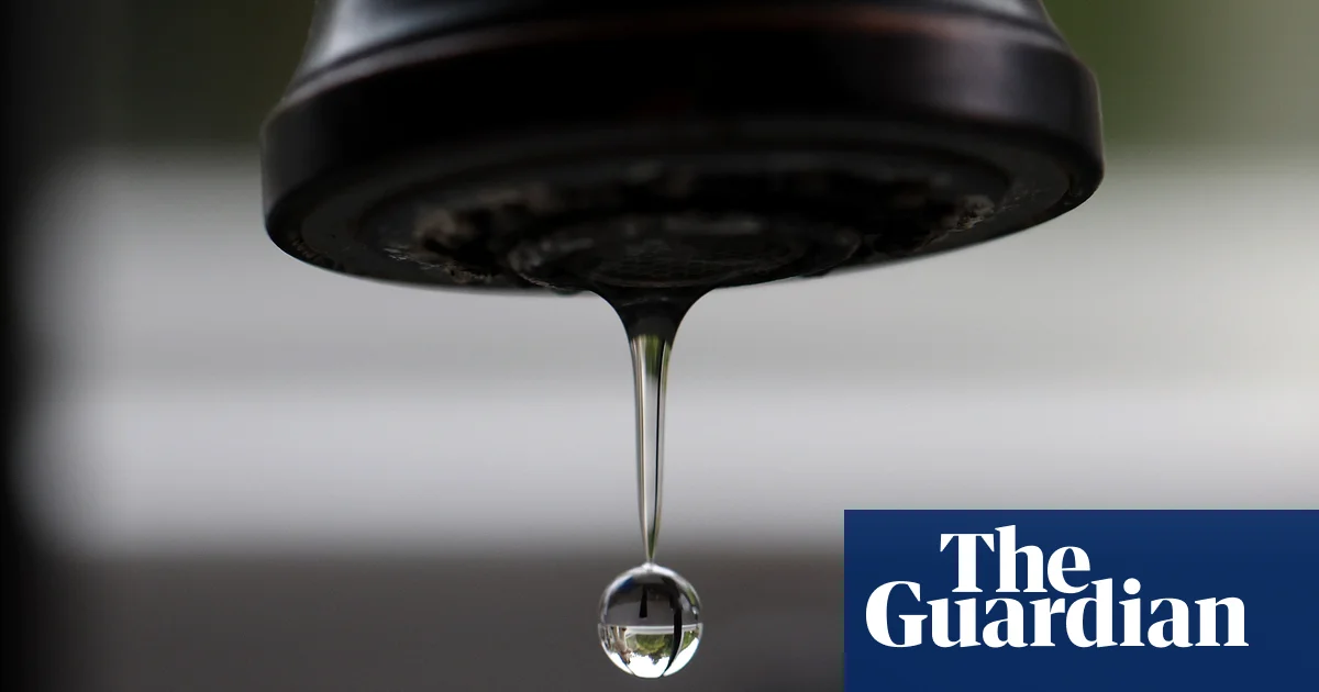 Featured image for PFAS in Water Linked to Gut and Kidney Health Risks in Youth