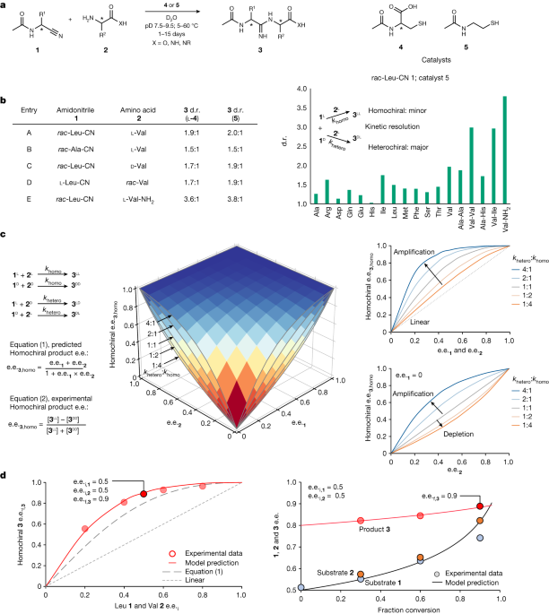 Featured image for "Unraveling the Origins of Molecular Handedness and Homochirality in Prebiotic Chemistry"
