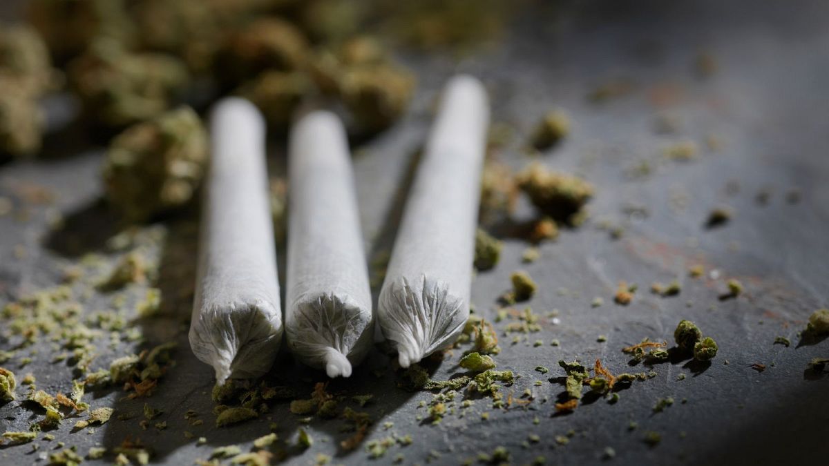 "Link Between Heavy Cannabis Use and Increased Anxiety Risk Revealed by New Study"