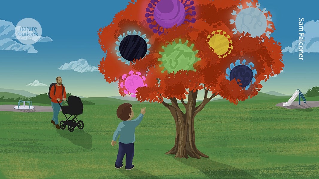 Featured image for Early Flu Infections Shape Lifelong Immunity