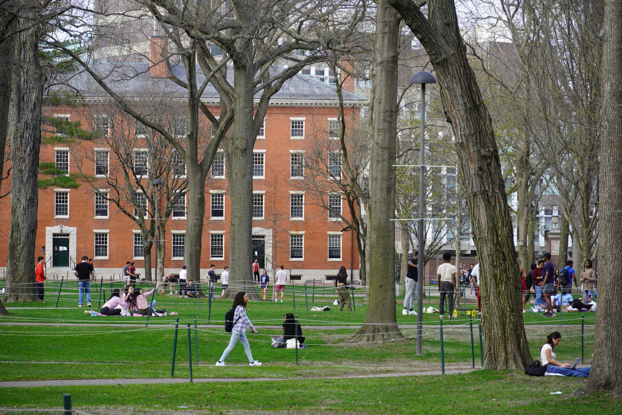 College Campuses Grapple with Student Anxiety Post-Trump Reelection