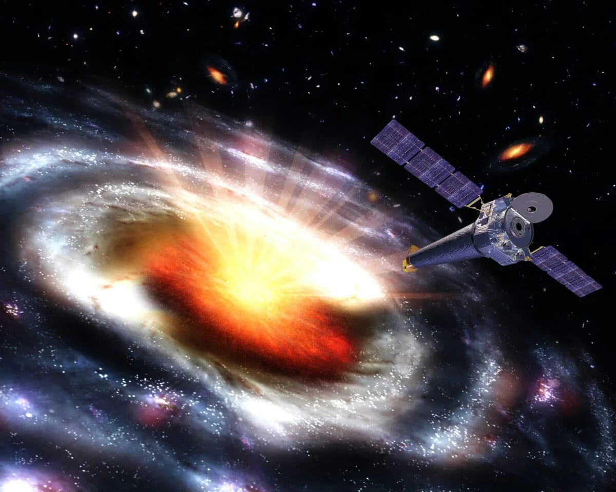 Black Hole Tears White Dwarf, Hinting at Hidden Intermediate-Mass BHs