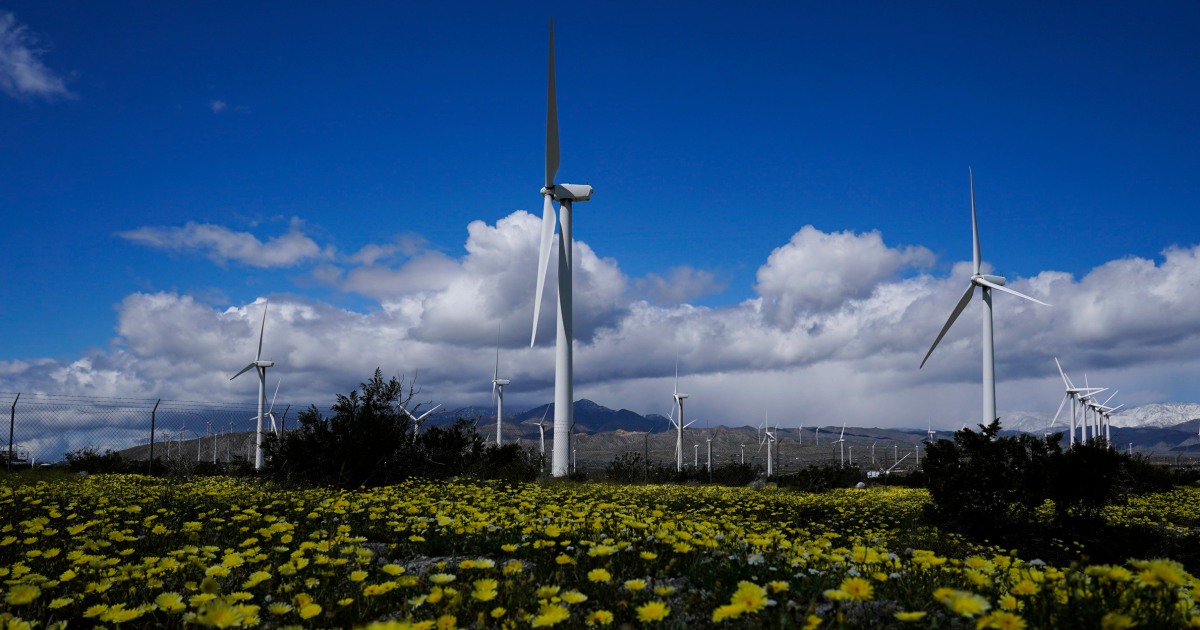 Featured image for Wind Industry Predicts Record Growth Despite Recent Setbacks.