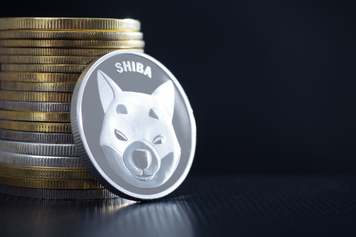 Shiba Inu sees increased burns and volume spike.