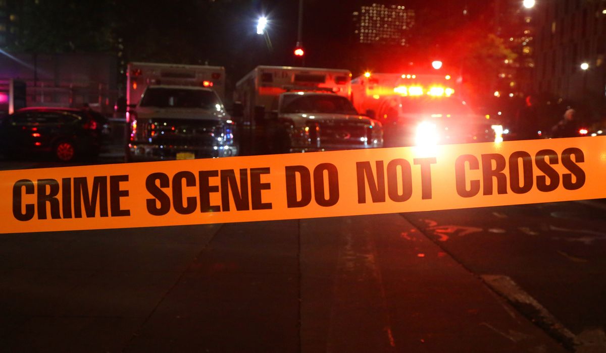 "Unprovoked Attacks: California Man Targets Asians and Innocent Grandparents"