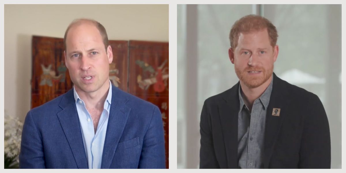 "Royal Brothers Unite: Prince Harry and Prince William Honor Diana at 2023 Awards Ceremony"