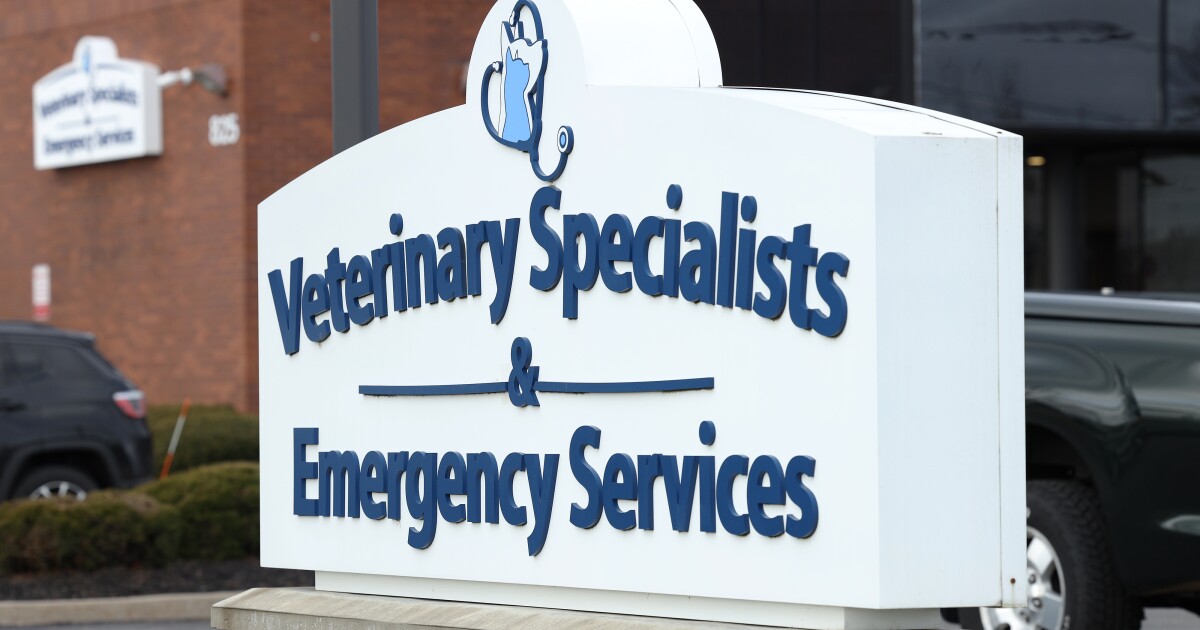 Closure of Rochester's Emergency Animal Hospital and Veterinary Specialists & Emergency Services in Brighton