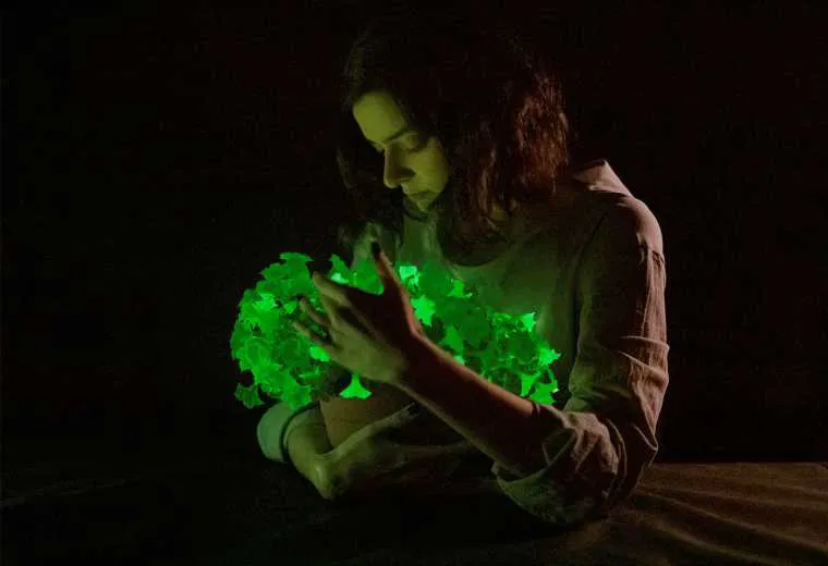 Featured image for "Commercial Availability of Glowing Plants with Fungal Bioluminescence for Home Illumination"