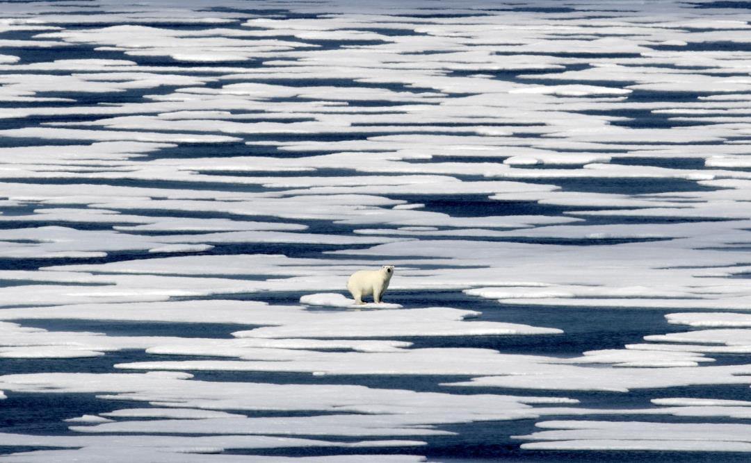 "Arctic Ocean on Track to Be Ice-Free Within a Decade, Study Warns"