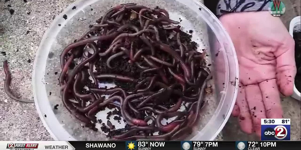 "Alert: Giant Jumping Worms with Shedding Abilities Spotted in Door County"