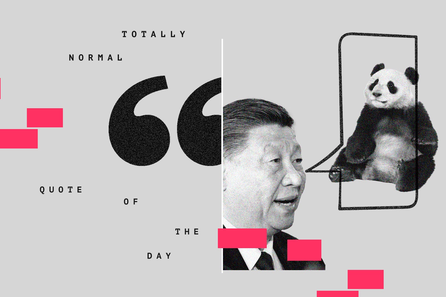 Featured image for "Panda Diplomacy: China's Offer to Bring Pandas Back to the US Gains Momentum"