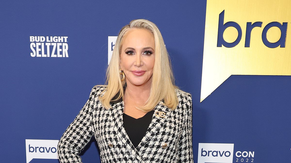 Shannon Beador's DUI Crash: Seeking Compensation and Facing Consequences