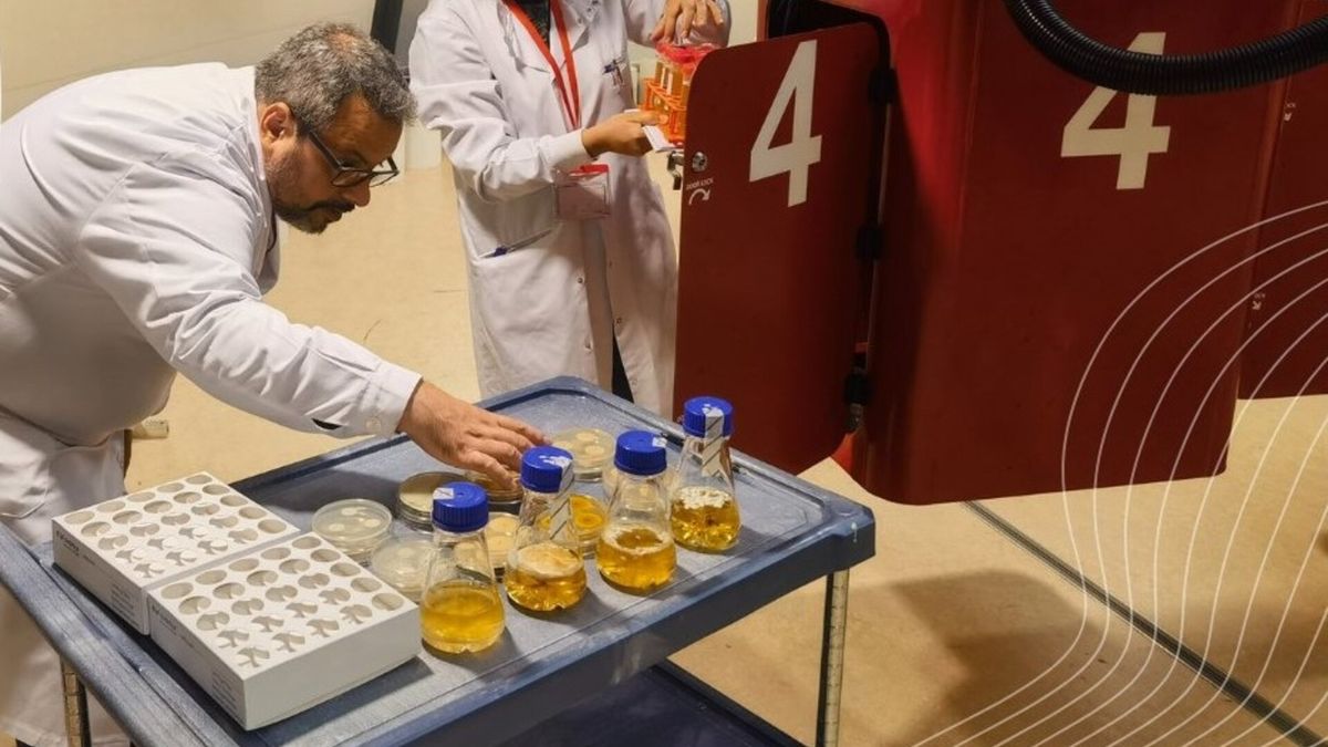 Featured image for "Fascinating Fungi Thrive in Space Stations, Igniting Scientific Curiosity"