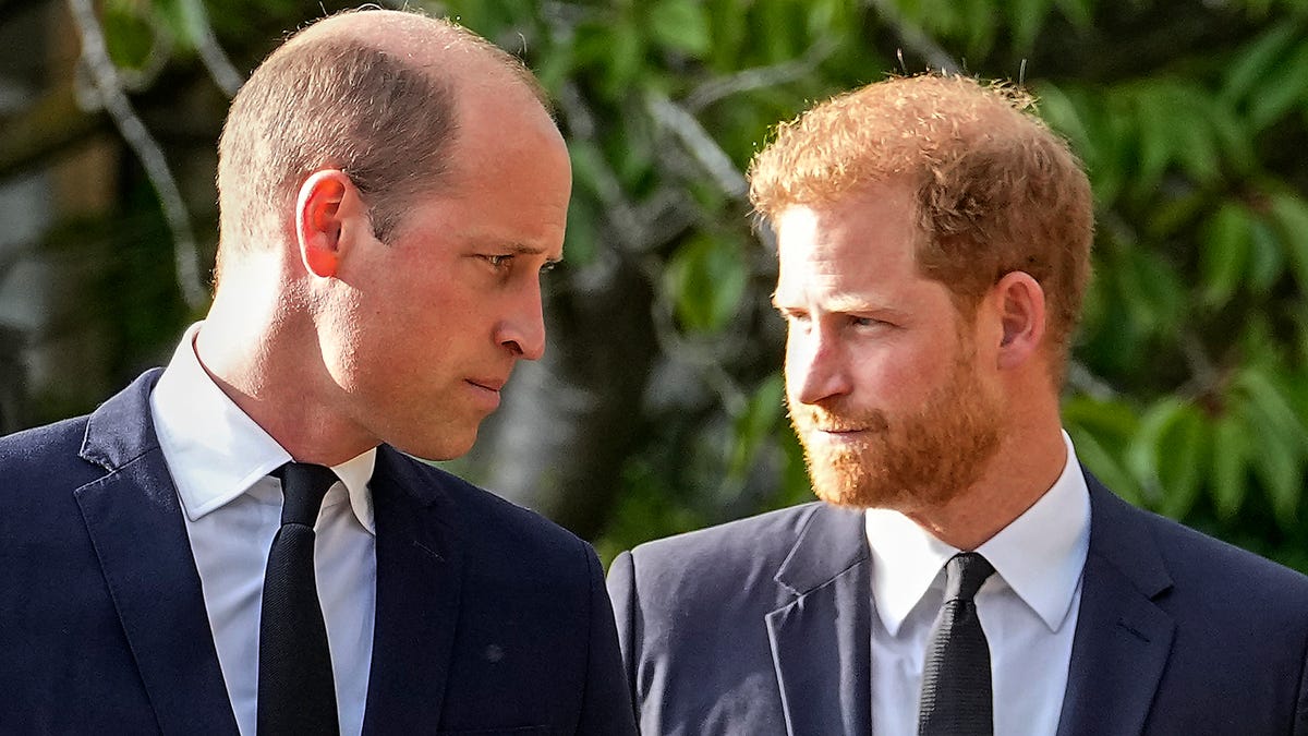 "Princes William and Harry Reunite for Diana Awards Ceremony"