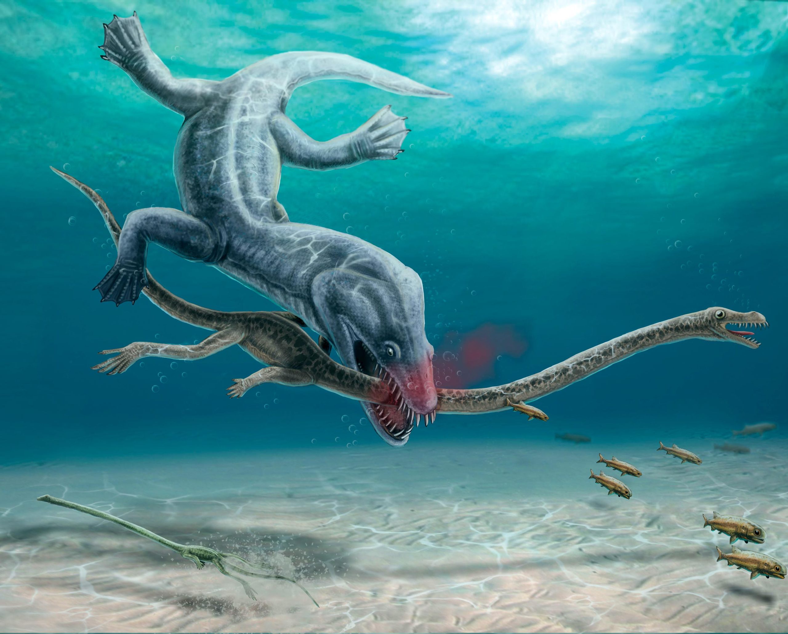 "Predators Targeted Long-Necked Reptiles, Fossils Reveal"
