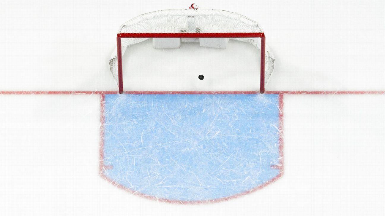 Featured image for "Thrilling Overtime Victories Propel Hobart to D-III Hockey Semifinals"