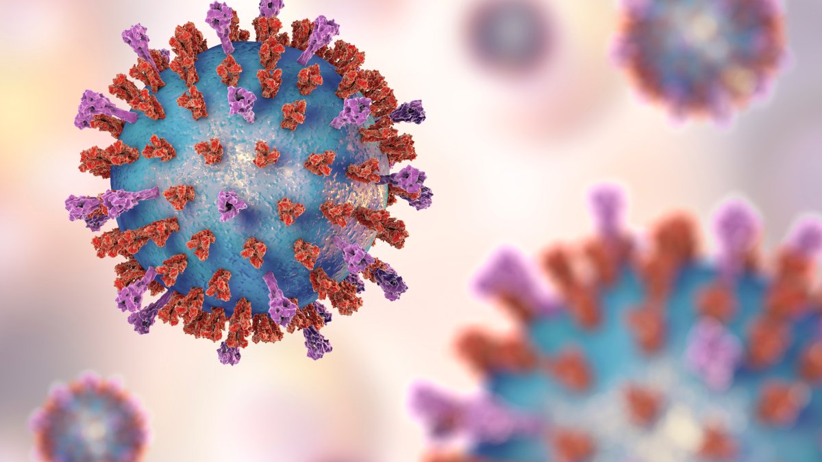 Illinois Health Officials Warn of Potential Rise in Respiratory Viruses