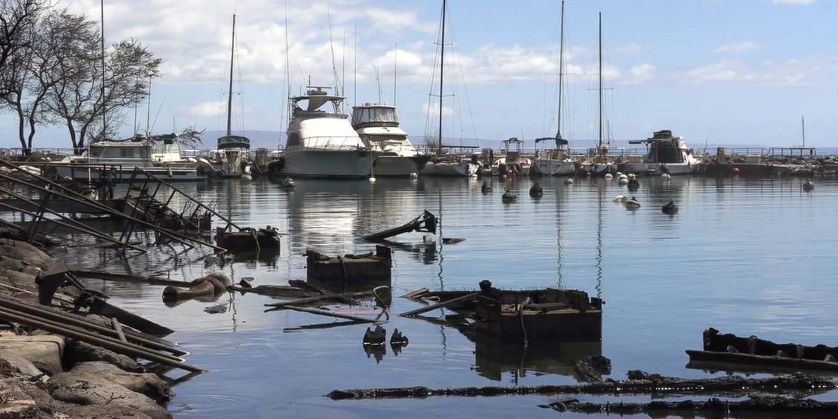 Assessing the Devastating Effects of High-tech Surveys on Maui's Coral Reefs