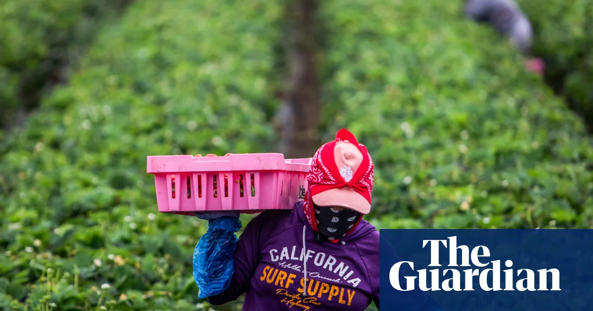 Federal Judge Orders Halt to Racially Profiling Immigration Stops in California