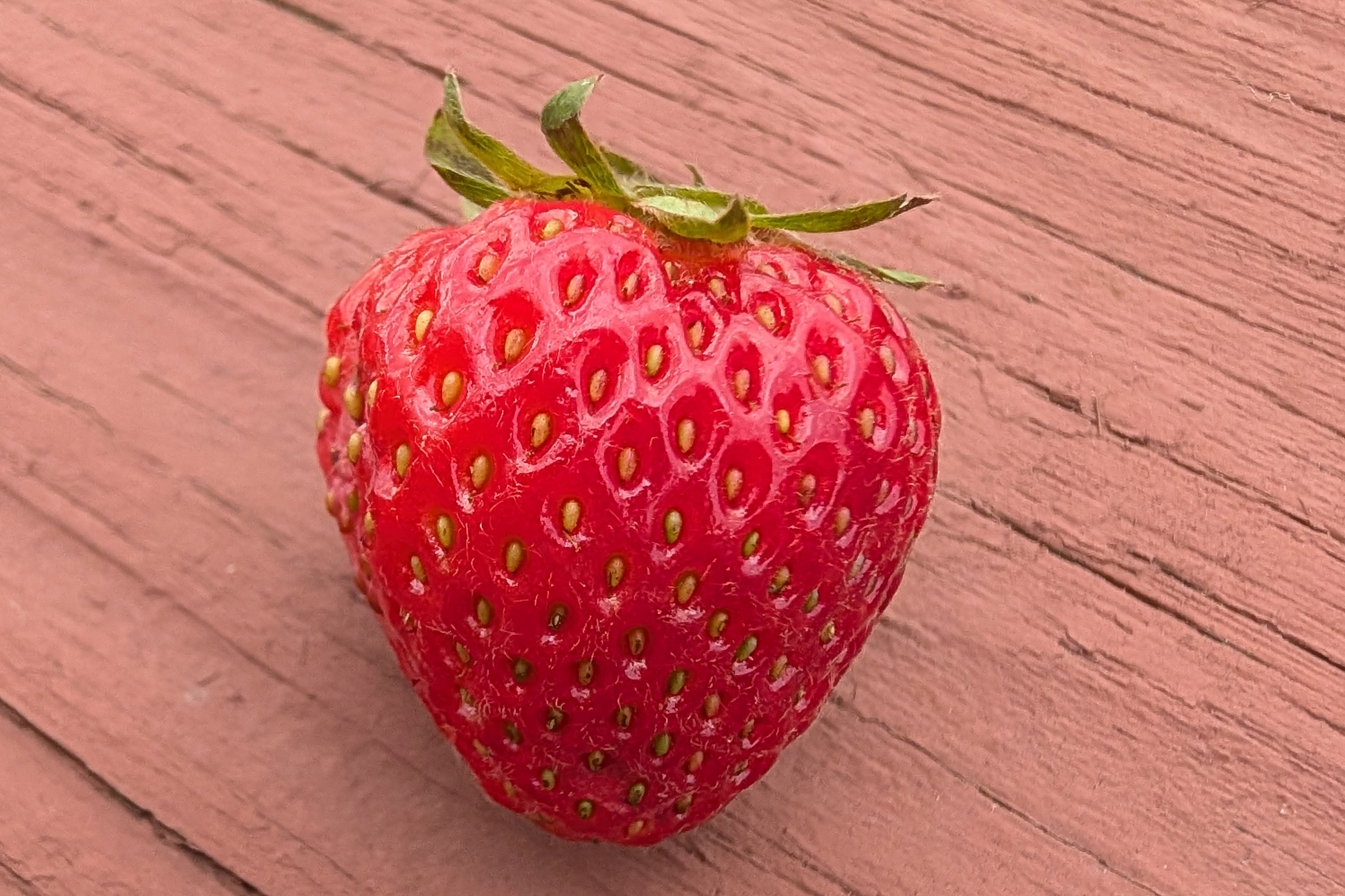 Featured image for Pixel 10 Pro's Camera: The Best in the World and Its Hidden Tricks