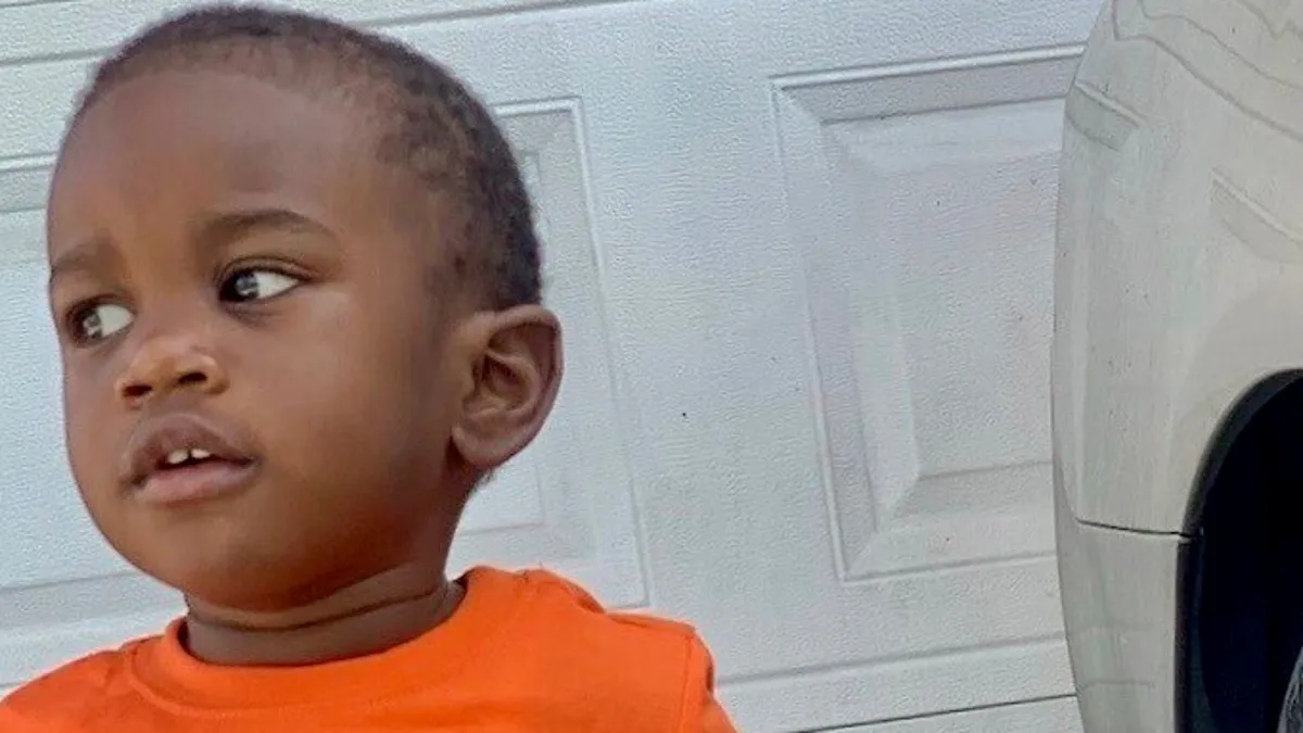 Tragic Discovery: Missing Florida Toddler Found in Alligator's Jaws.