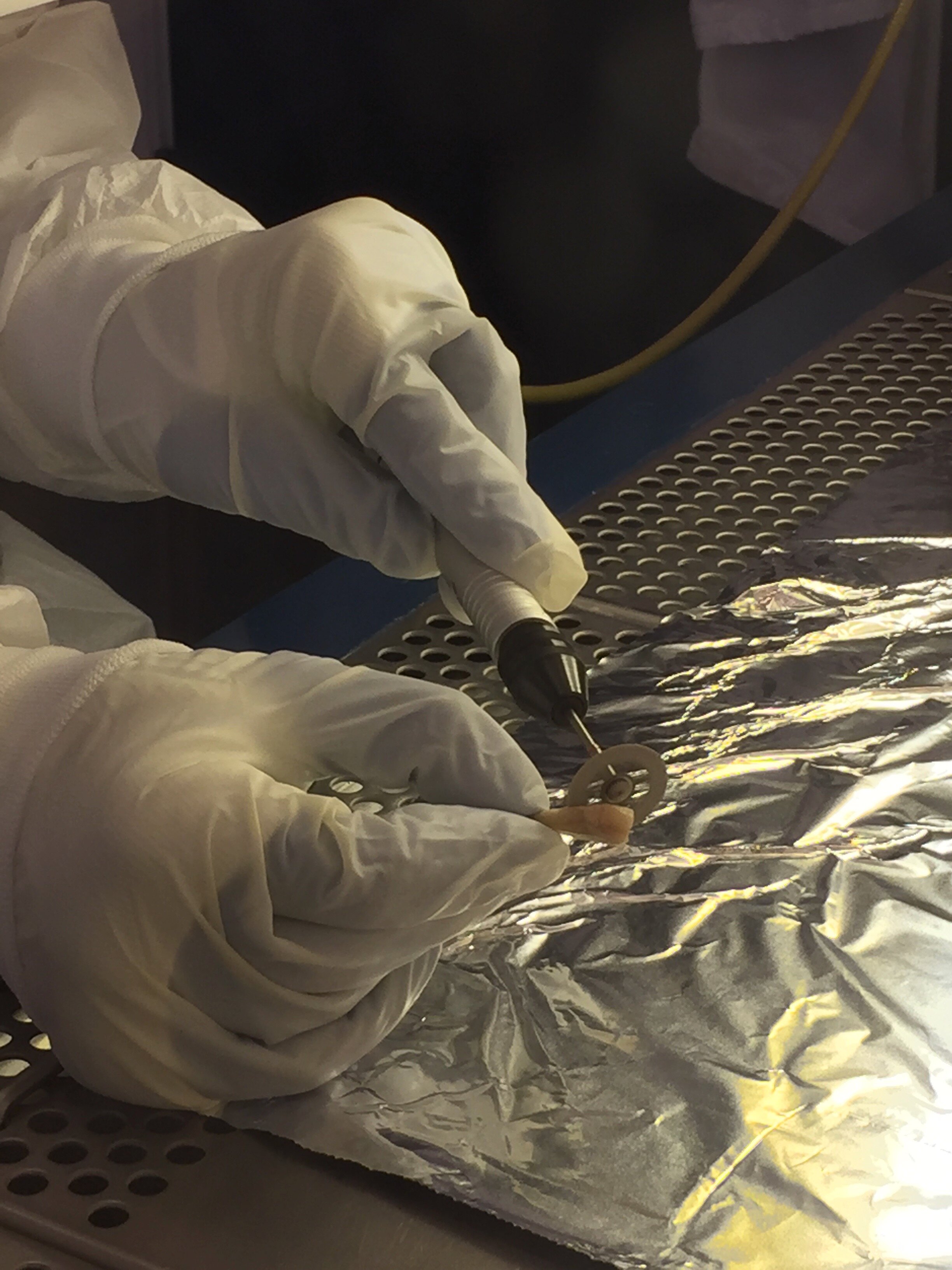 Featured image for Ancient DNA Reveals Identities of WWII Executed Civilians in Adele