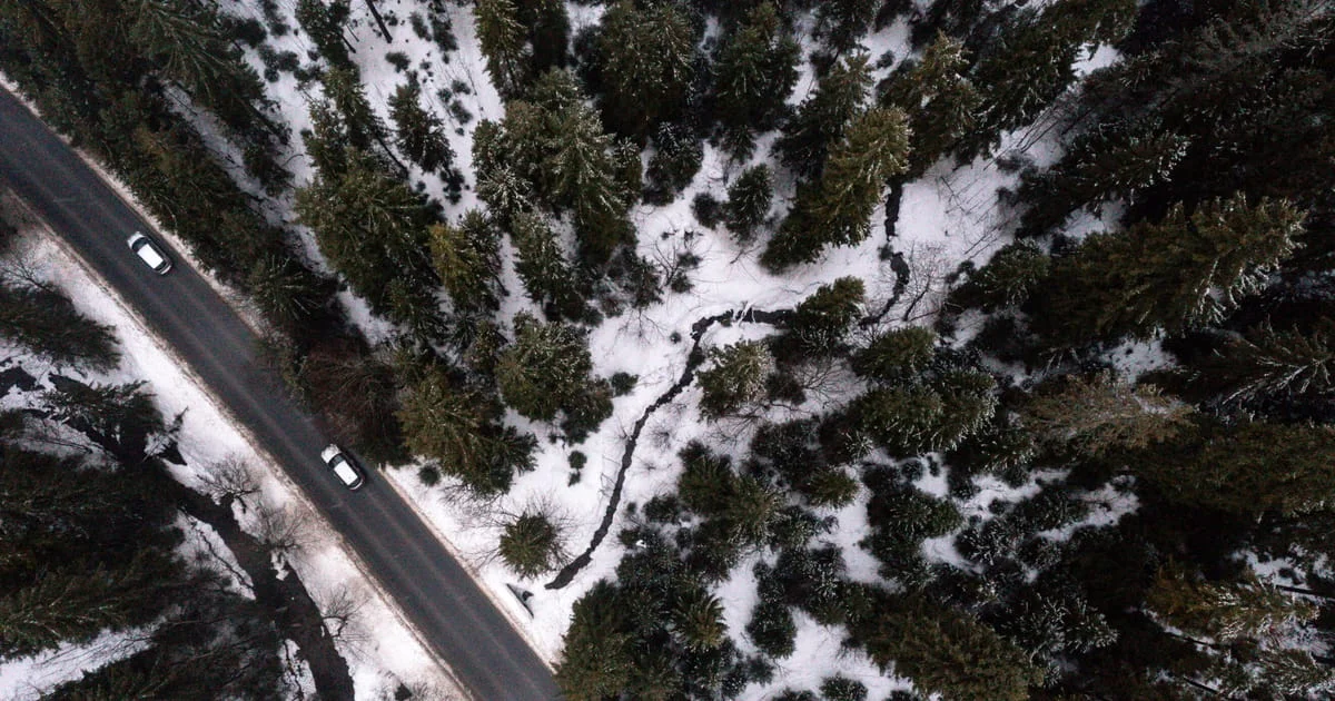 Unchecked growth threatens Earth's biodiversity, 150 countries warn