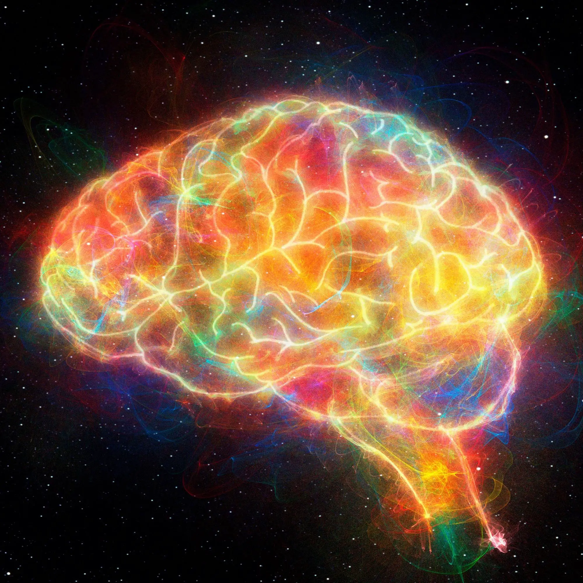 "Leisure Activity Boosts Memory in Older Adults to Youthful Levels: Study"