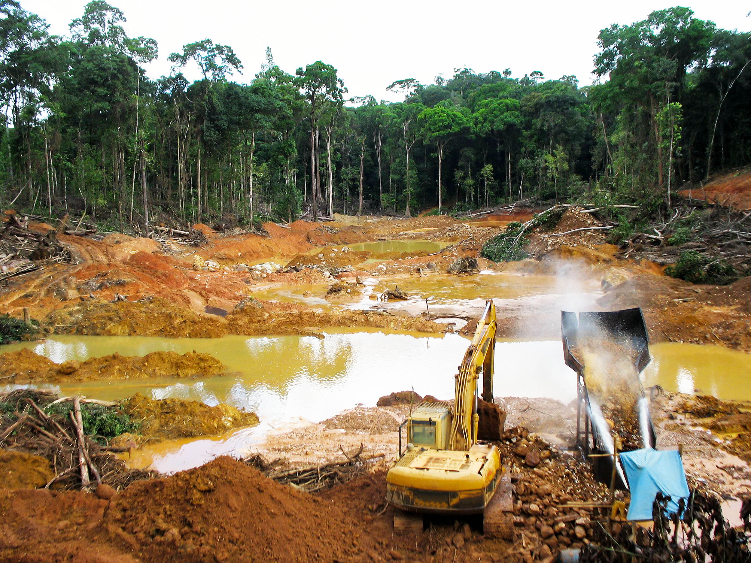 Featured image for Gold Miners Trigger 'Carbon Time Bomb' in Amazon Rainforest