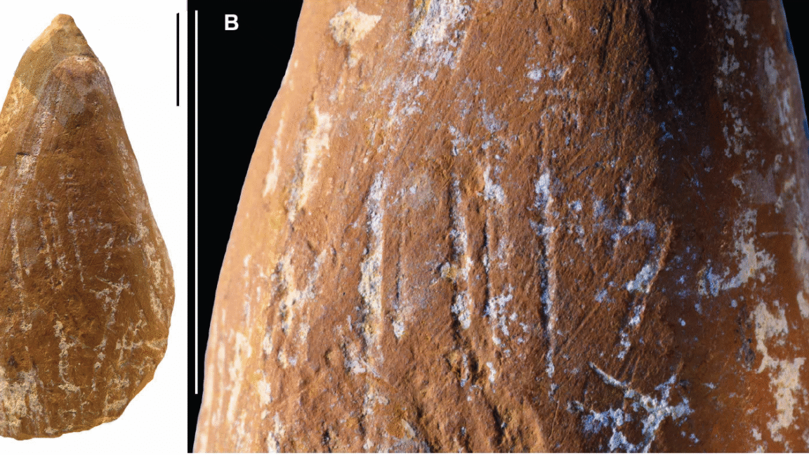 Featured image for Neanderthals Used Ocher Crayons for Symbolic Art