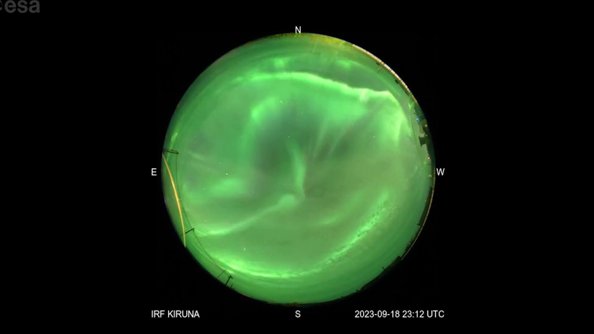 "Unusual Phenomena: Firefoxes and Whale Spouts Illuminate Earth's Atmosphere"