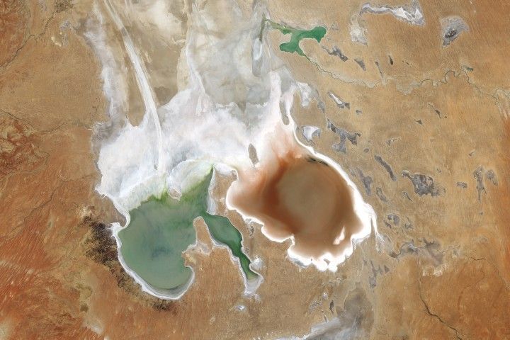 Featured image for Lake Eyre Turns Pink
