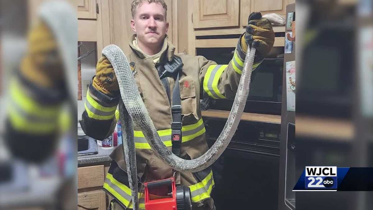 Featured image for Massive Snake Sparks Georgia Home Fire, Firefighters Respond