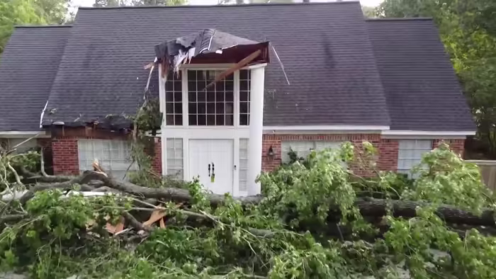 Severe storms wreak havoc on Houston, uprooting trees and causing damage.