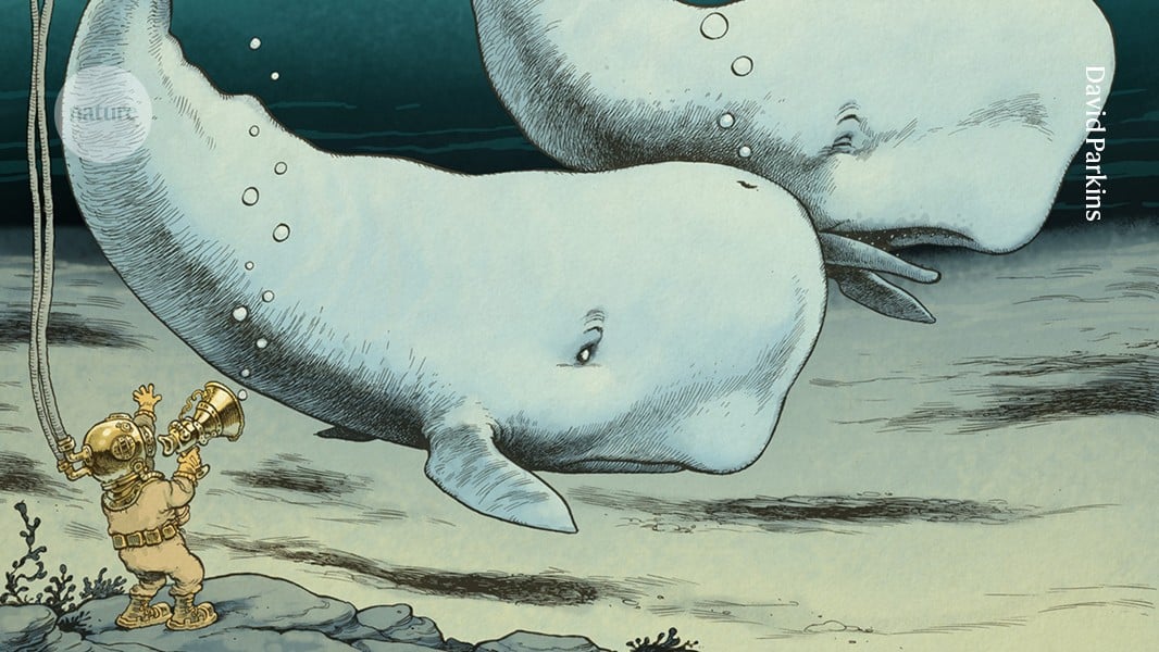 Featured image for AI Advances in Decoding and Communicating with Animals