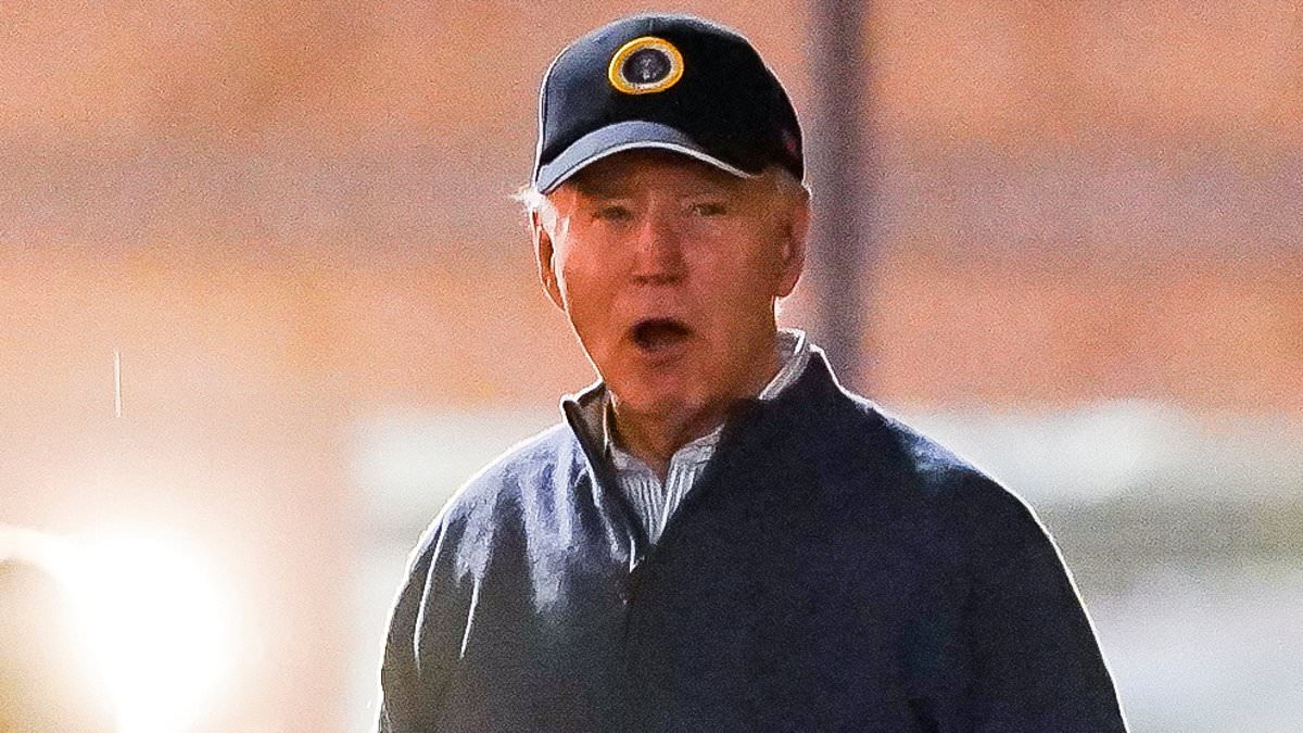 Joe Biden's Motorcade Involved in Terrifying Collision