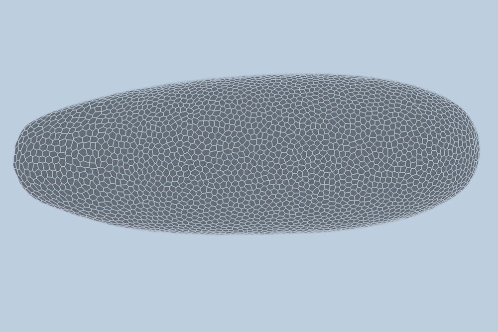 Featured image for MIT AI Model Accurately Predicts Cell Behavior in Fruit Fly Embryos