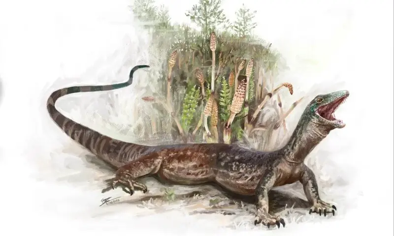 Featured image for Ancient Reptile Fossil Reveals Snake-Lizard Hybrid from Dinosaur Era
