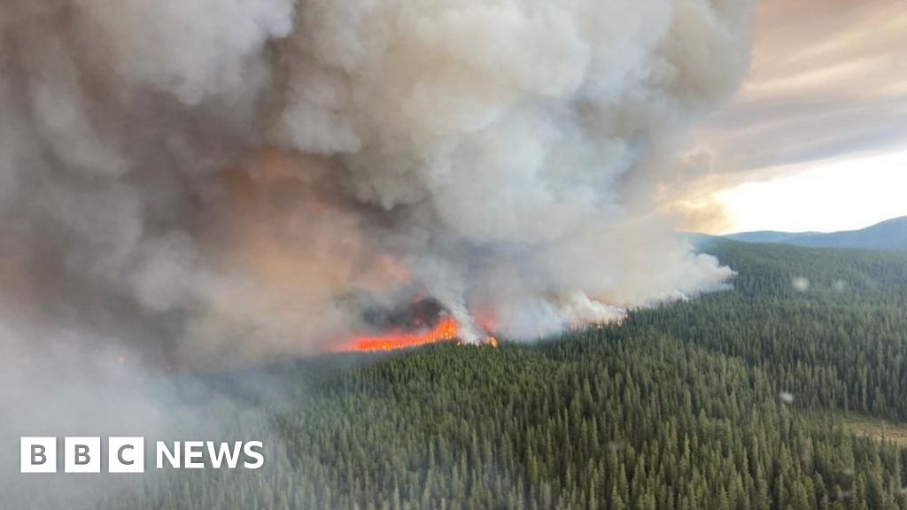 "Tragic Loss: Second Firefighter Fatality in Canada's Record-Breaking Wildfires"