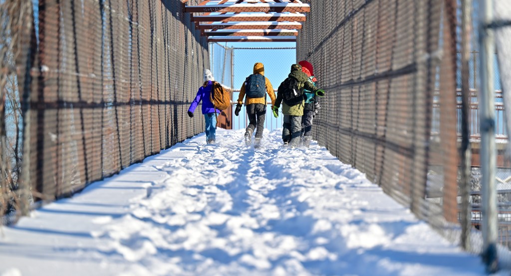 Featured image for "Minnesota's Winter Weather: Snowfall, Clearing Strategies, and Emergency Measures Explained"