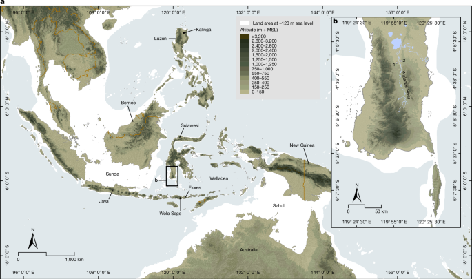 Featured image for Ancient Tools Reveal Mysterious Human Relatives on Sulawesi