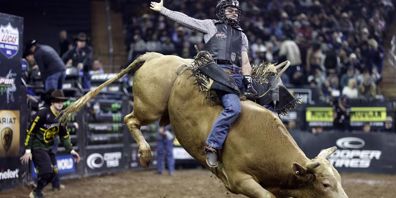 "Market Rally: S&P 500's Playbook for Bullish Shift and Rebounding Stocks"