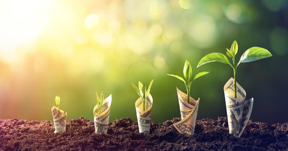 Featured image for The Benefits of Investing in CDs: Expert Advice and October Opportunities