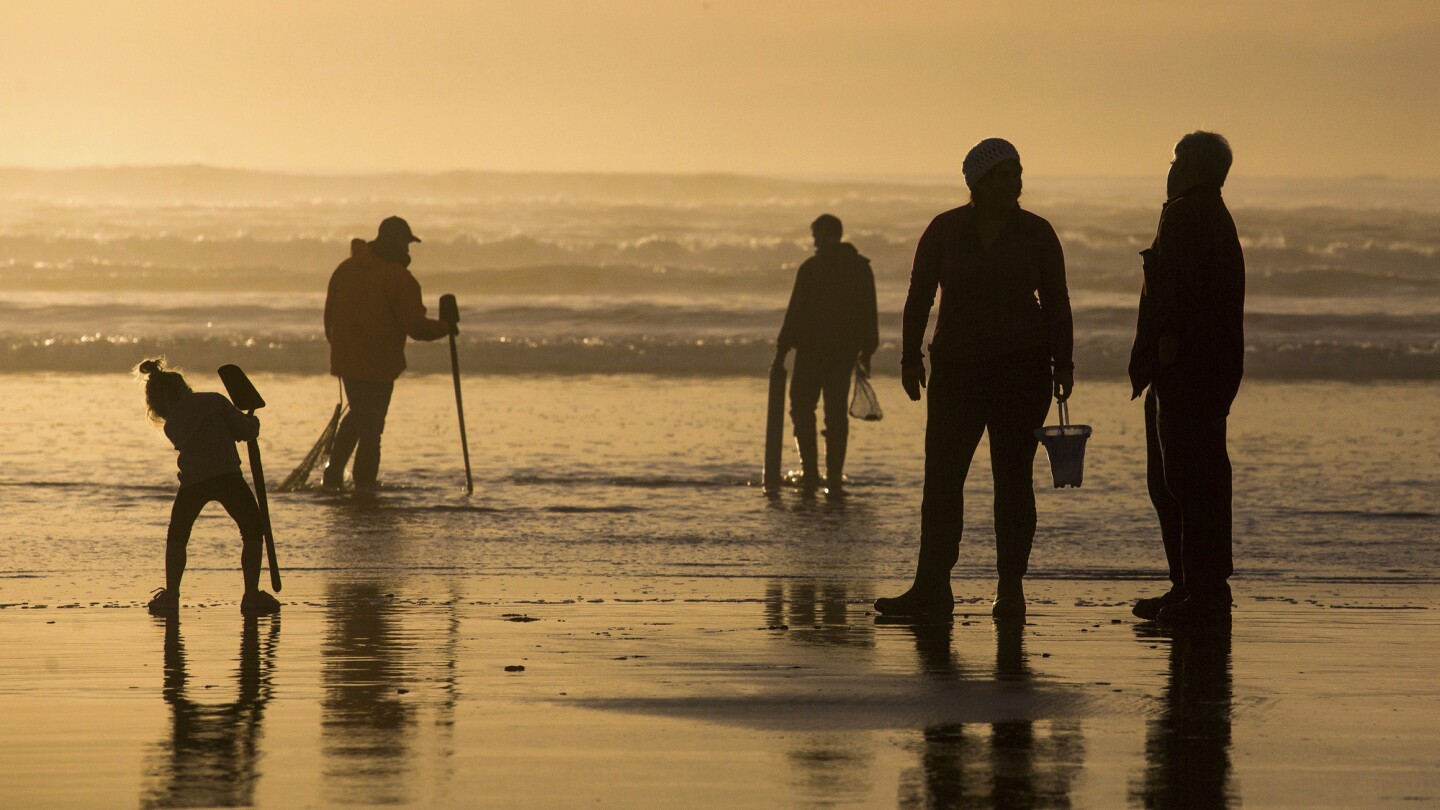 "Oregon Shuts Down Mussel Harvesting Over Shellfish Poisoning Concerns"