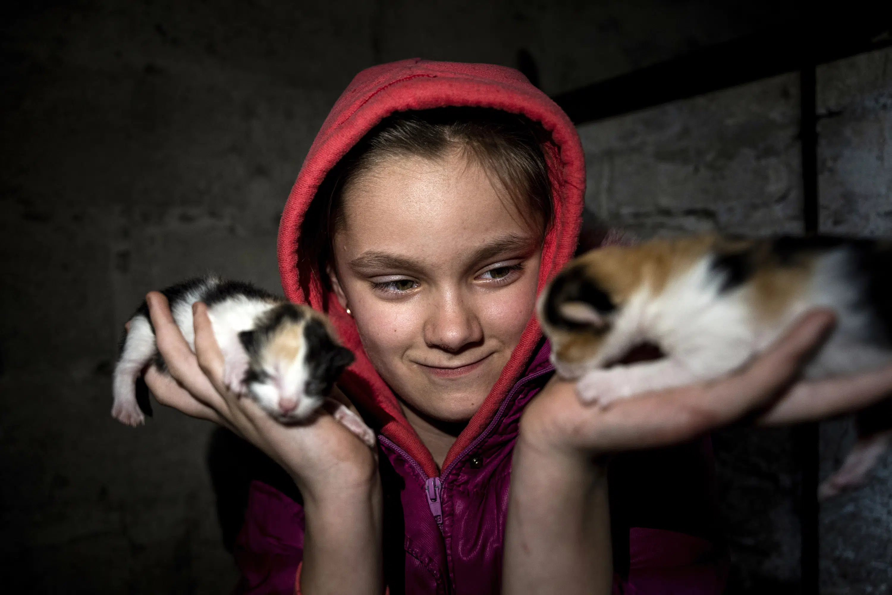 Living in Fear: A Family's Life in a Shelled Ukrainian Village.