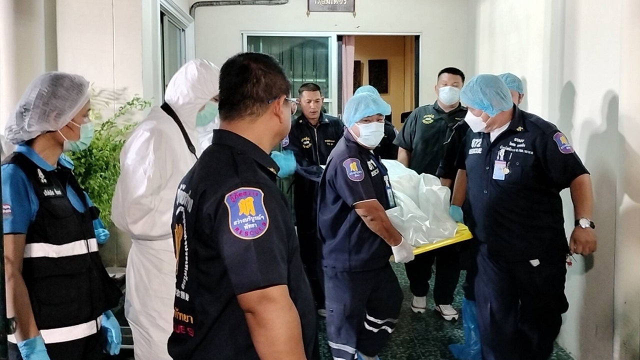 Gruesome Discovery: German Businessman's Dismembered Body Found in Thai Freezer