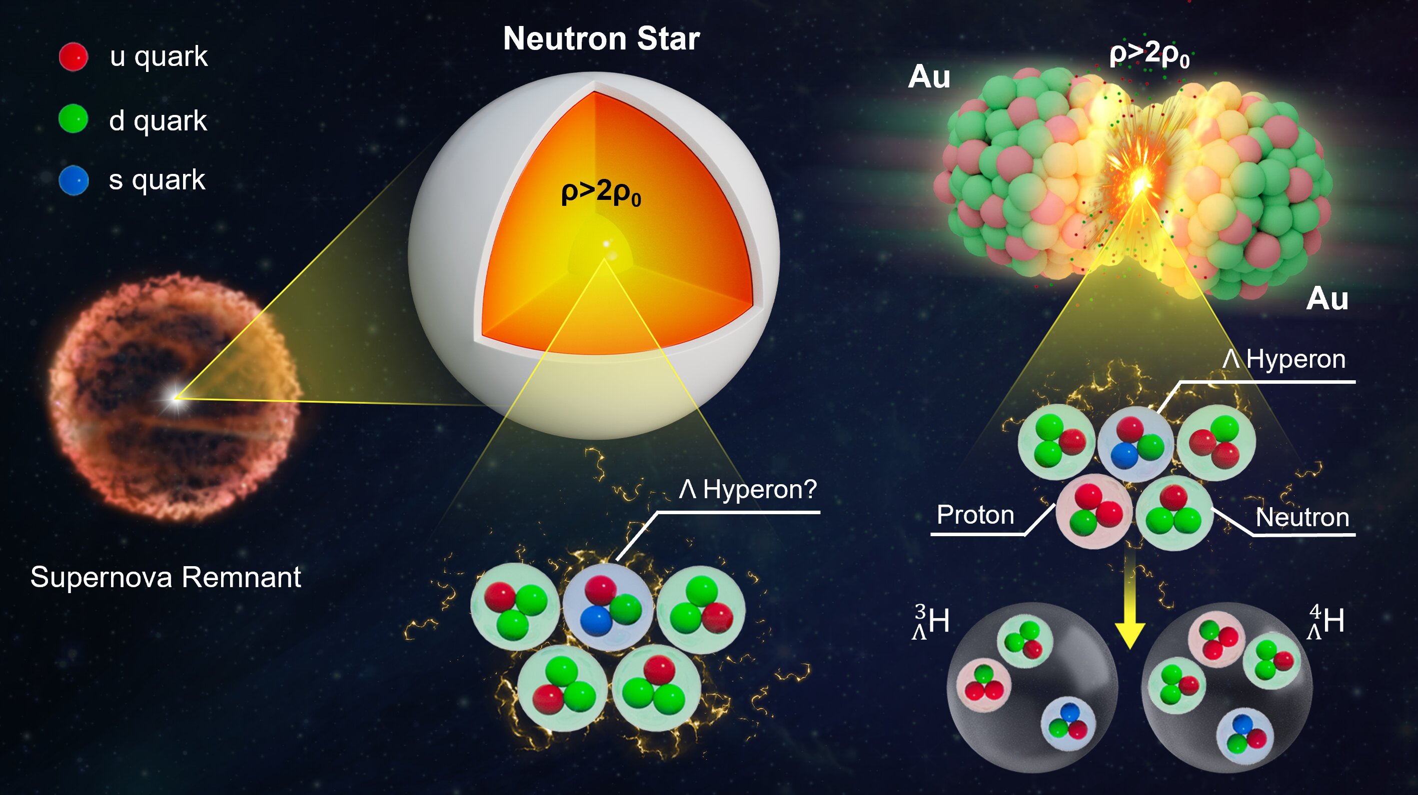 Featured image for New insights into hypernuclei flow at RHIC from first measurements.