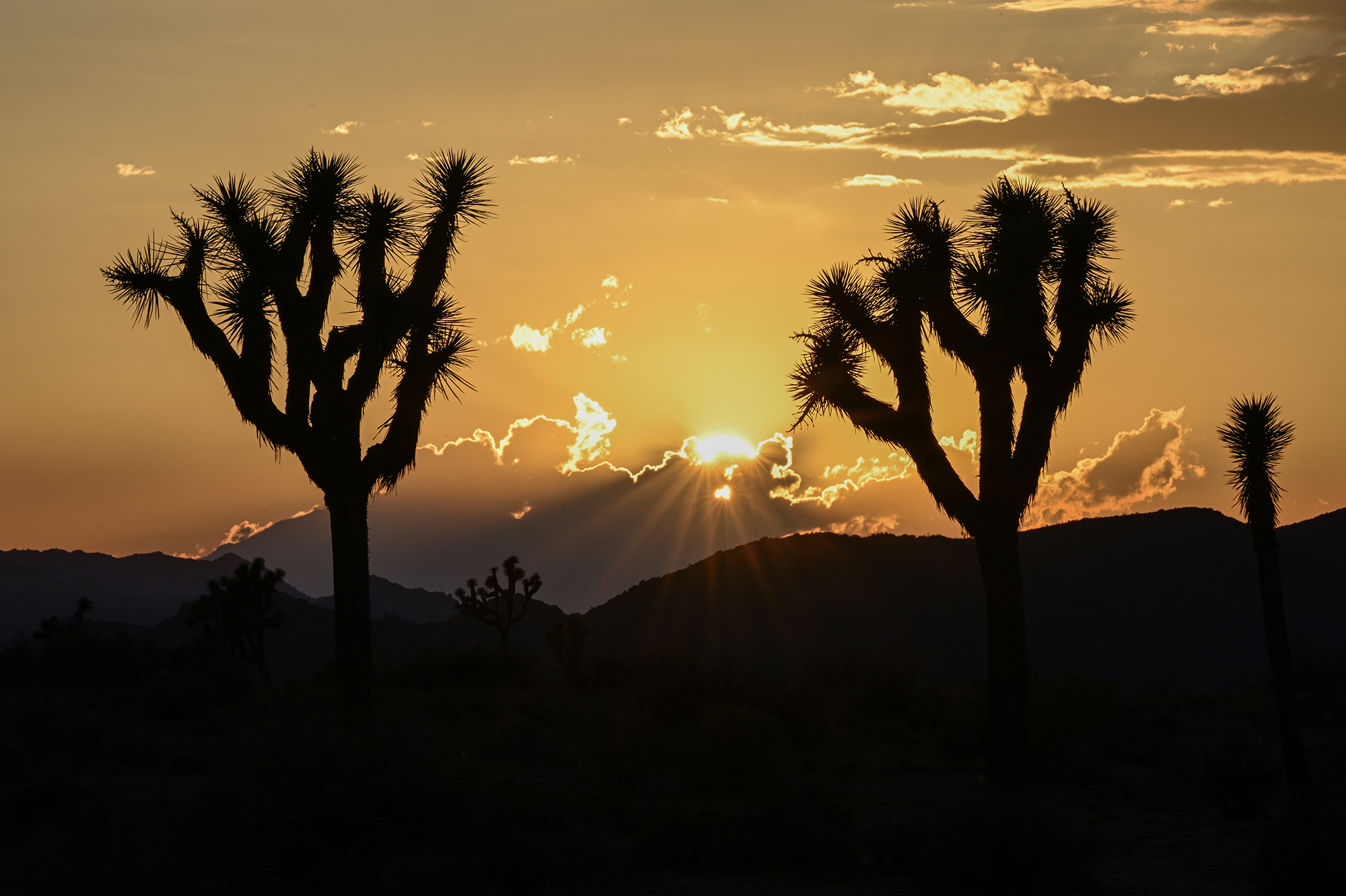 Featured image for Impacts of the 2025 Government Shutdown on Californians and National Parks