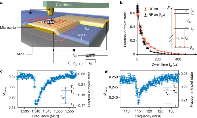 Featured image for Advancements in Single-Molecule Electron Spin Resonance Using Atomic Force Microscopy